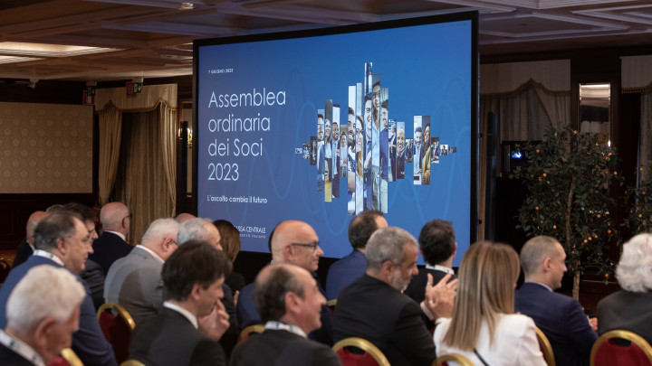 Platea, foto del pubblico
